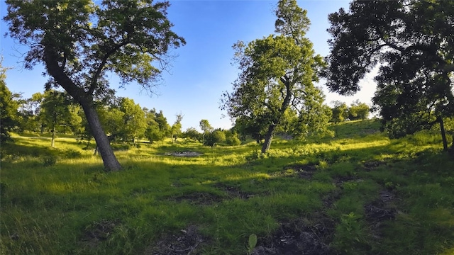 0 Loudon Rd, Fredericksburg, TX 78624 - photo 7
