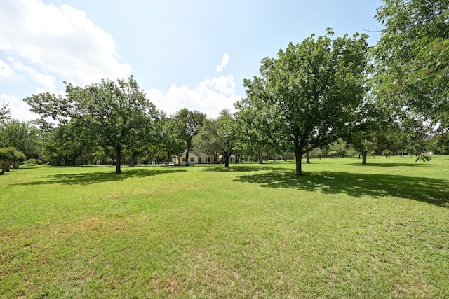 111 Trinity St, Cedar Creek, TX 78612 - photo 34