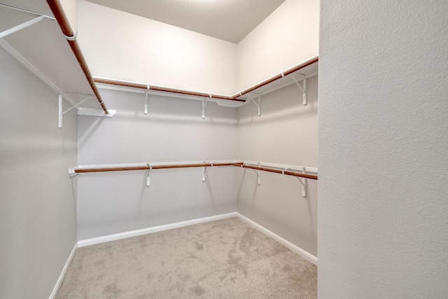 11117 Pairnoy Ln, Austin, TX 78739 - photo 19