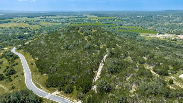 TBD Eagle Ridge, Burnet, TX 78611 - photo 1