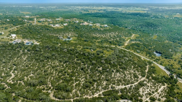 TBD Eagle Ridge, Burnet, TX 78611 - photo 2