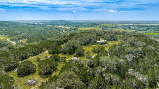 TBD Eagle Ridge, Burnet, TX 78611 - photo 5