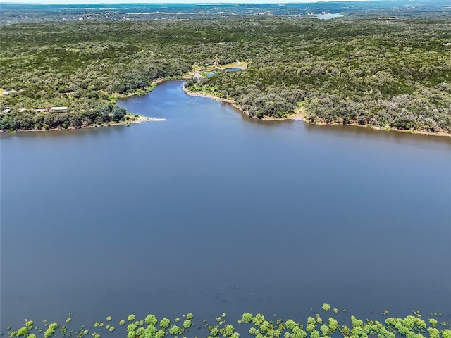 00 Wesley Ridge Dr, Spicewood, TX 78669 - photo 7