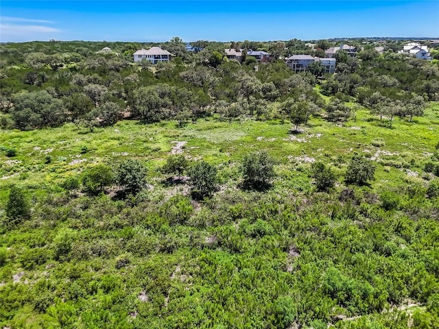 00 Wesley Ridge Dr, Spicewood, TX 78669 - photo 10