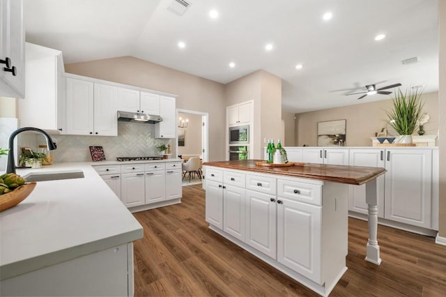 3300 Oxsheer Dr, Austin, TX 78732 - photo 10
