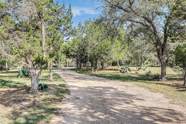 25108 Colorado Canyon Dr, Marble Falls, TX 78654 - photo 31
