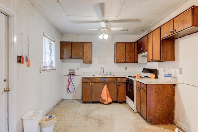 1307 Lily Ter, Austin, TX 78741 - photo 9