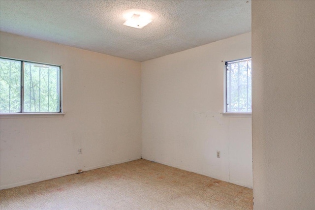 1307 Lily Ter, Austin, TX 78741 - photo 13