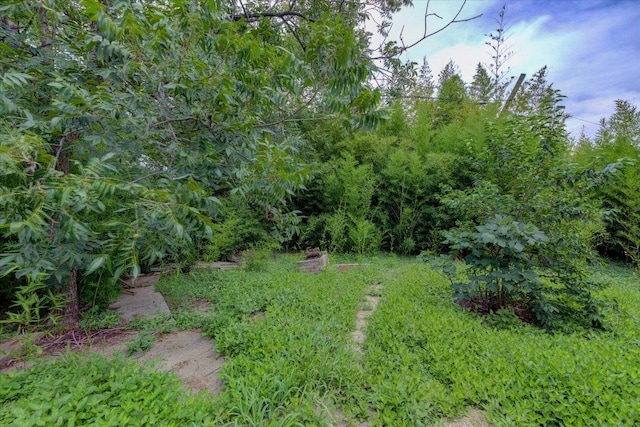 1307 Lily Ter, Austin, TX 78741 - photo 22