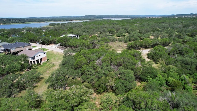 6719 Bar K Ranch Rd, Lago Vista, TX 78645 - photo 2
