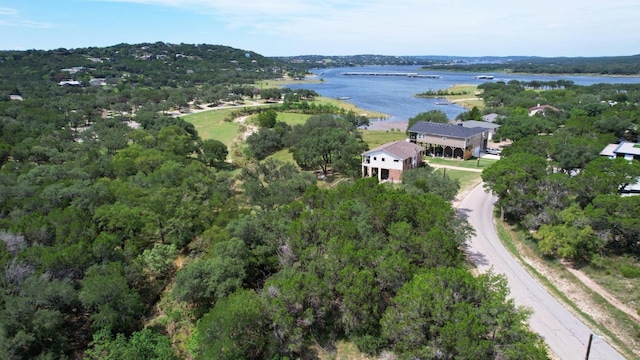 6719 Bar K Ranch Rd, Lago Vista, TX 78645 - photo 3