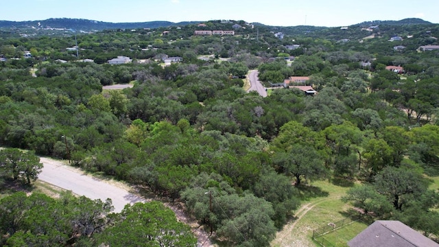 6719 Bar K Ranch Rd, Lago Vista, TX 78645 - photo 7