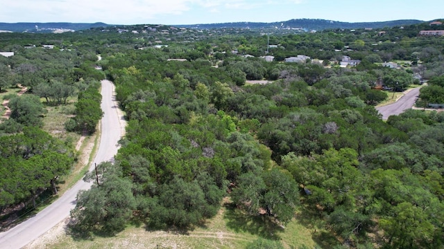 6719 Bar K Ranch Rd, Lago Vista, TX 78645 - photo 8