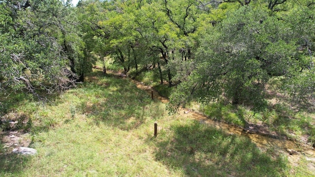 6719 Bar K Ranch Rd, Lago Vista, TX 78645 - photo 9