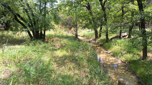 6719 Bar K Ranch Rd, Lago Vista, TX 78645 - photo 10