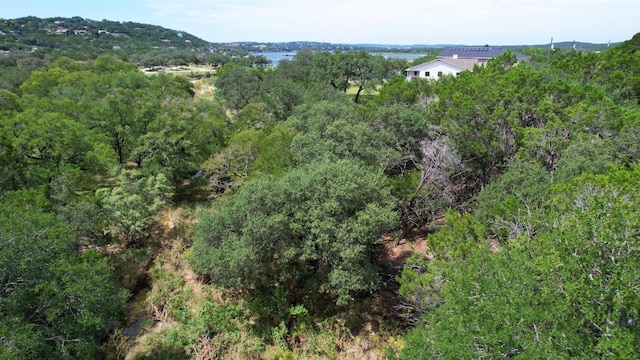 6719 Bar K Ranch Rd, Lago Vista, TX 78645 - photo 11