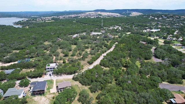 6719 Bar K Ranch Rd, Lago Vista, TX 78645 - photo 15