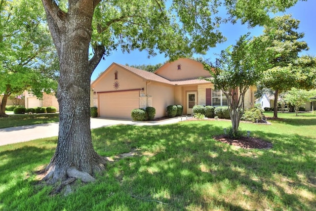 508 Texas Dr, Georgetown, TX 78633 - photo 2
