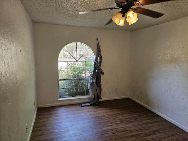 3632 Quiette Dr, Austin, TX 78754 - photo 5