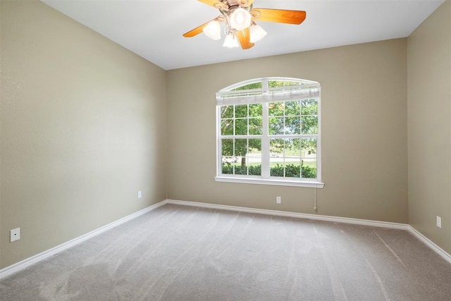 12312 Blackberry Rd, Salado, TX 76571 - photo 22
