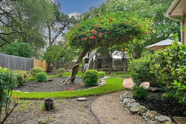 1600 Sharon Pl, Cedar Park, TX 78613 - photo 24
