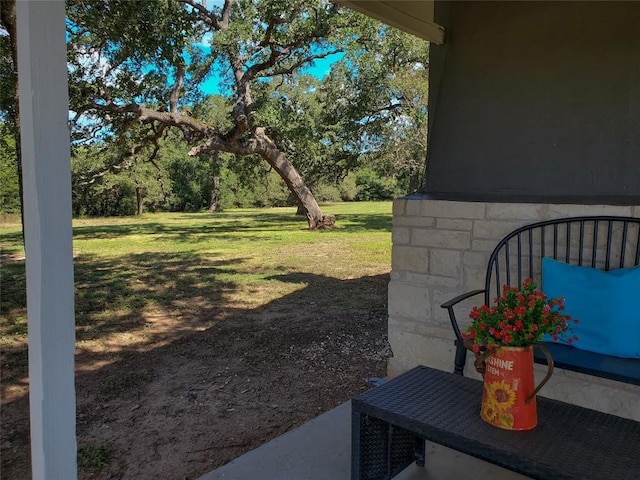 741 Old Antioch Rd, Smithville, TX 78957 - photo 10