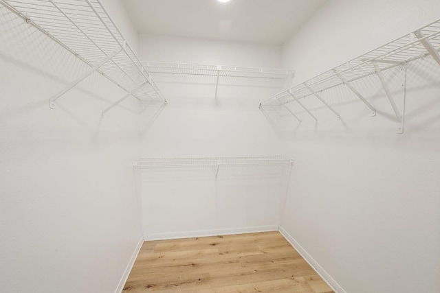 1205 Rambling Trl, Cedar Park, TX 78613 - photo 16