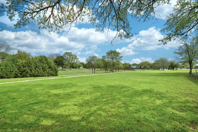 1205 Rambling Trl, Cedar Park, TX 78613 - photo 36
