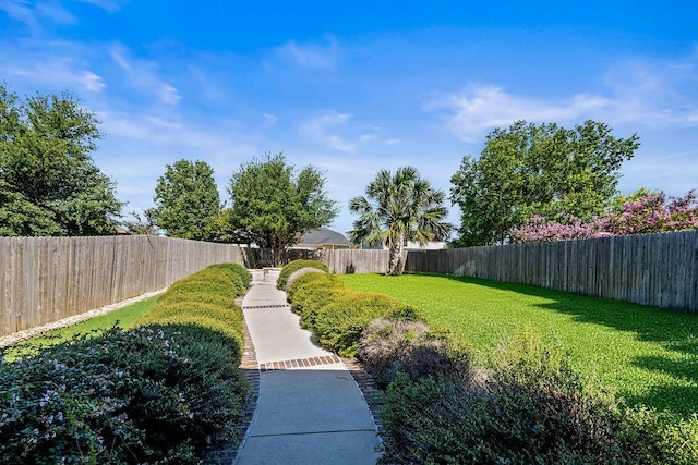 516 Tranquility Mtn, Buda, TX 78610 - photo 8