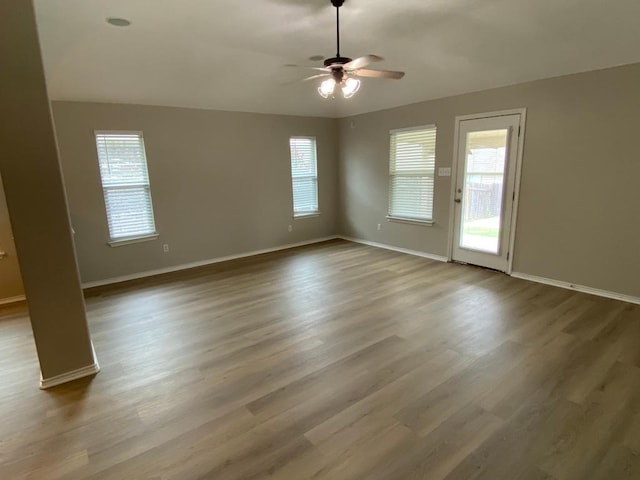 533 Hot Spring Vly, Buda, TX 78610 - photo 8