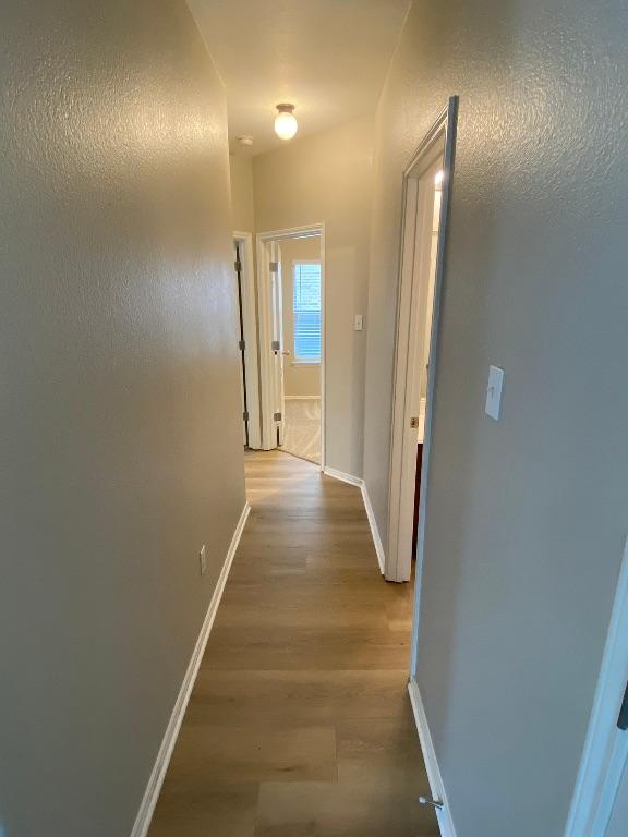 533 Hot Spring Vly, Buda, TX 78610 - photo 20