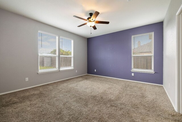 6285 Mantalcino Dr, Round Rock, TX 78665 - photo 12