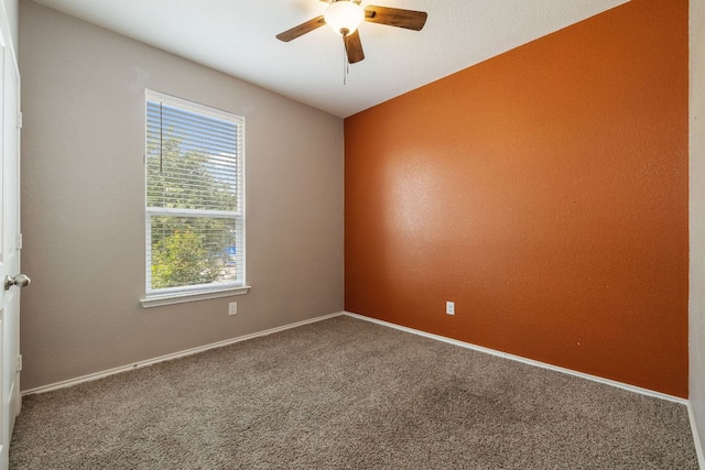 6285 Mantalcino Dr, Round Rock, TX 78665 - photo 20