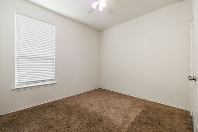 6285 Mantalcino Dr, Round Rock, TX 78665 - photo 21