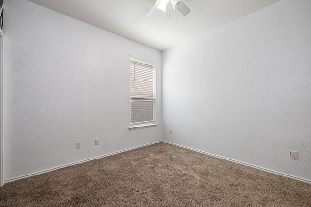 6285 Mantalcino Dr, Round Rock, TX 78665 - photo 22