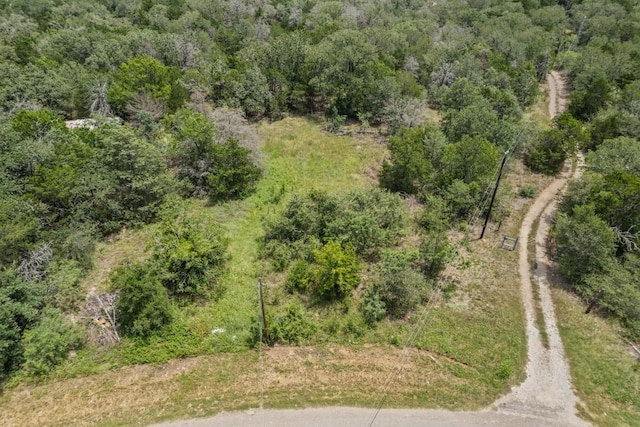 115 Turkey Run, Cedar Creek, TX 78612 - photo 1
