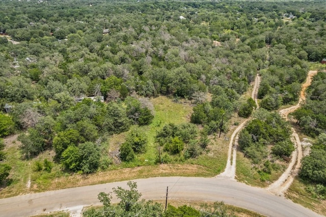 115 Turkey Run, Cedar Creek, TX 78612 - photo 2
