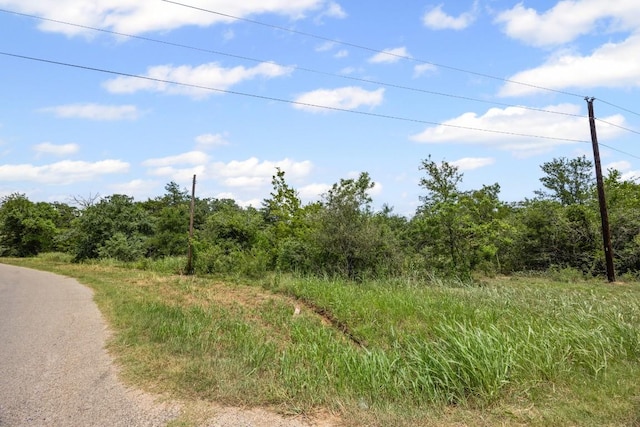 115 Turkey Run, Cedar Creek, TX 78612 - photo 3