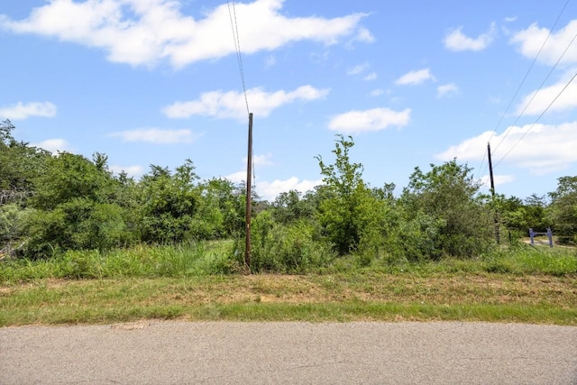 115 Turkey Run, Cedar Creek, TX 78612 - photo 5