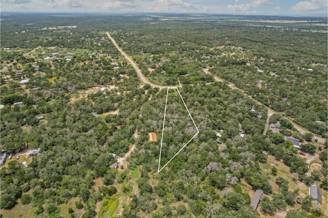 115 Turkey Run, Cedar Creek, TX 78612 - photo 6