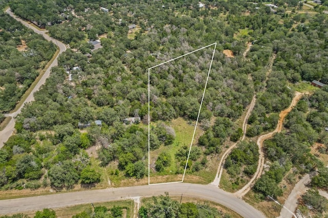 115 Turkey Run, Cedar Creek, TX 78612 - photo 9