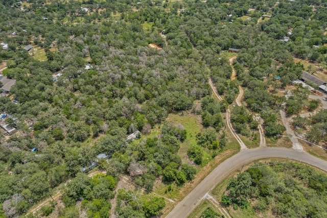 115 Turkey Run, Cedar Creek, TX 78612 - photo 13
