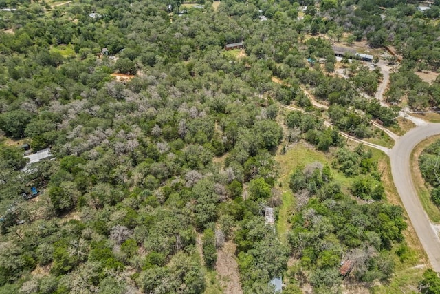 115 Turkey Run, Cedar Creek, TX 78612 - photo 14