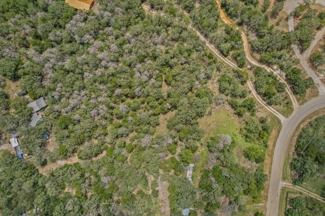 115 Turkey Run, Cedar Creek, TX 78612 - photo 15