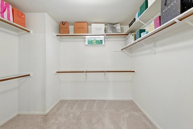 11128 Callanish Park Dr, Austin, TX 78750 - photo 26
