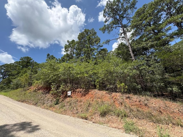 120 Molokini Dr, Bastrop, TX 78602 - photo 1