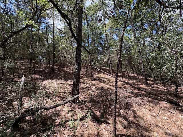 120 Molokini Dr, Bastrop, TX 78602 - photo 4