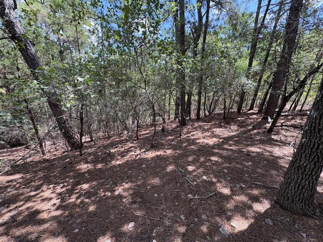 120 Molokini Dr, Bastrop, TX 78602 - photo 6