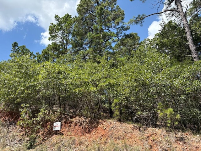 120 Molokini Dr, Bastrop, TX 78602 - photo 8