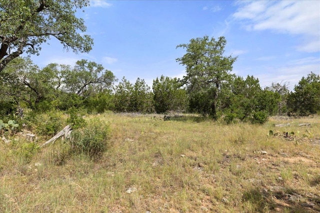 Listing photo 31 - caption unavailable